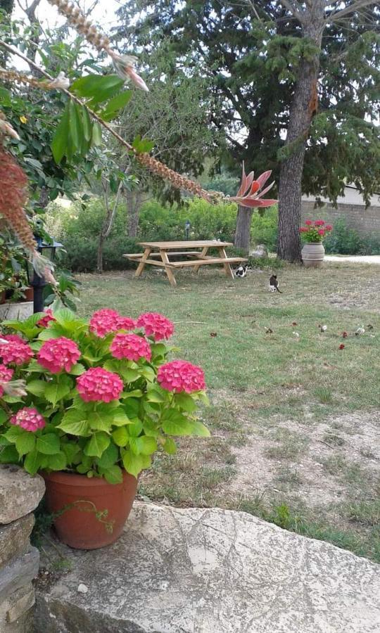Agriturismo Le Stiacce Saturnia Exterior photo